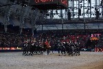Cavalry - 00162